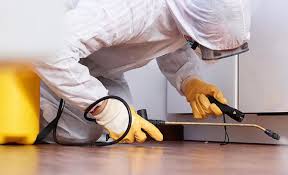 Best Residential Pest Control  in Dalton, GA